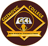 Guzmovic College